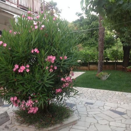 Vila Alma Porec Bagian luar foto