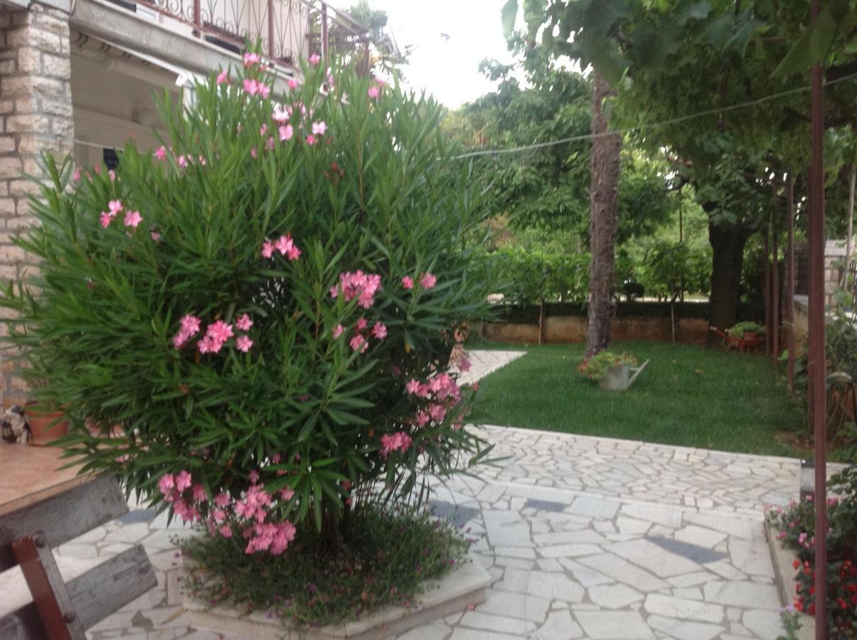 Vila Alma Porec Bagian luar foto
